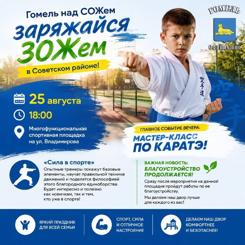 Праздник спорта и мастер-класс по каратэ на ул. Владимирова