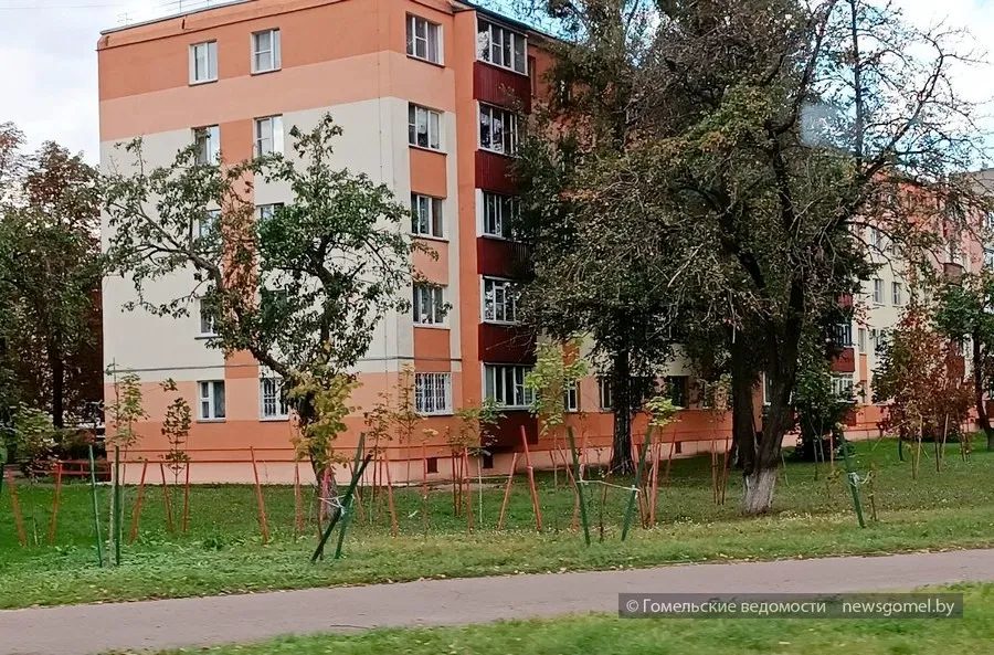 В Гомеле сажают саженцы и взрослые деревья