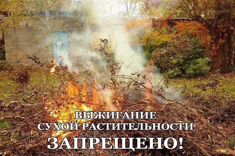 Осенние палы: штраф и опасность для дома и соседей