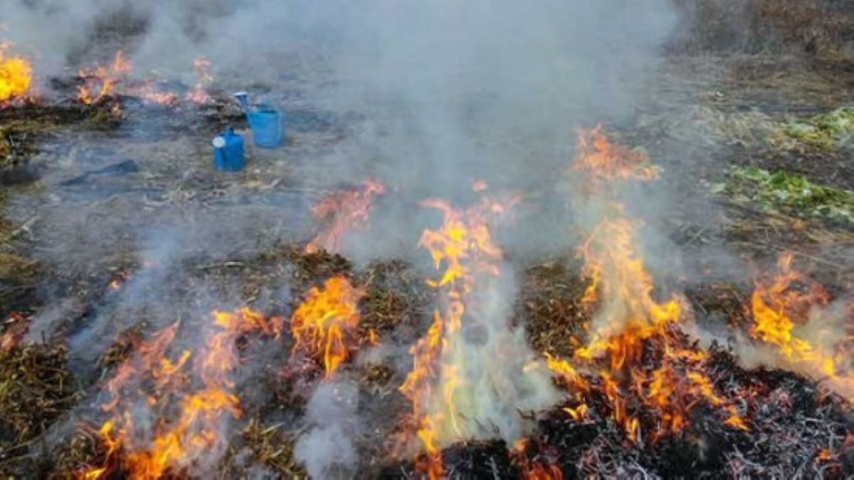 В Гомеле женщина получила ожоги при разжигании костра