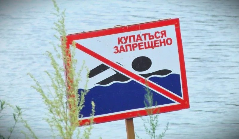 На трёх гомельских пляжах ограничили или запретили купание из-за кишечной палочки