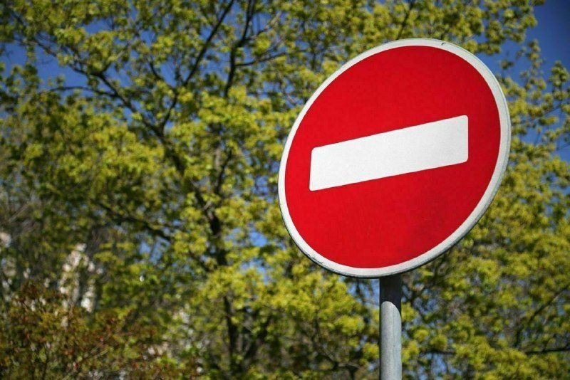 На Пролетарской упало дерево, перекрыв маршруты автобусов