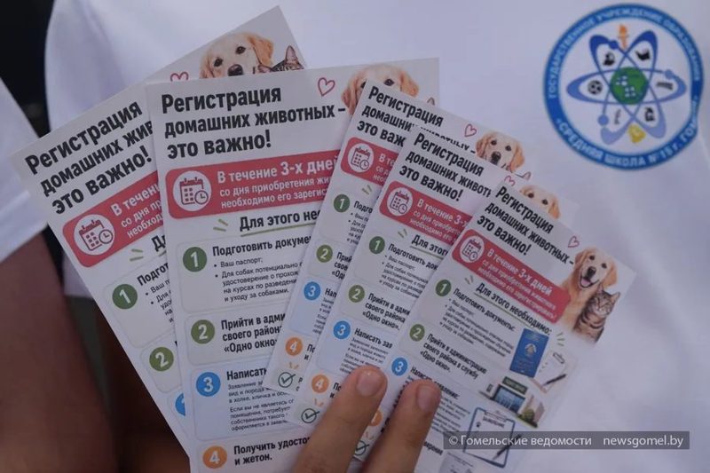 В Новобелицком районе стартовал проект по учёту домашних животных
