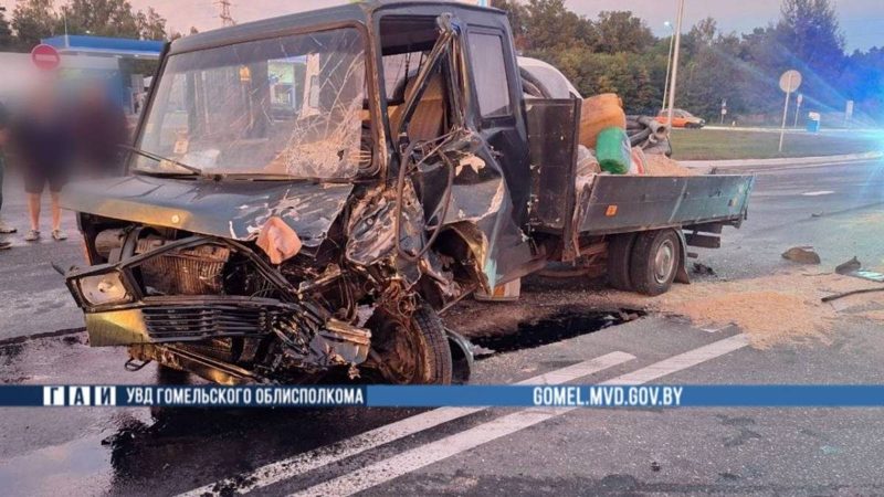 На М-10 под Добрушем столкнулись VOLVO и автофургон