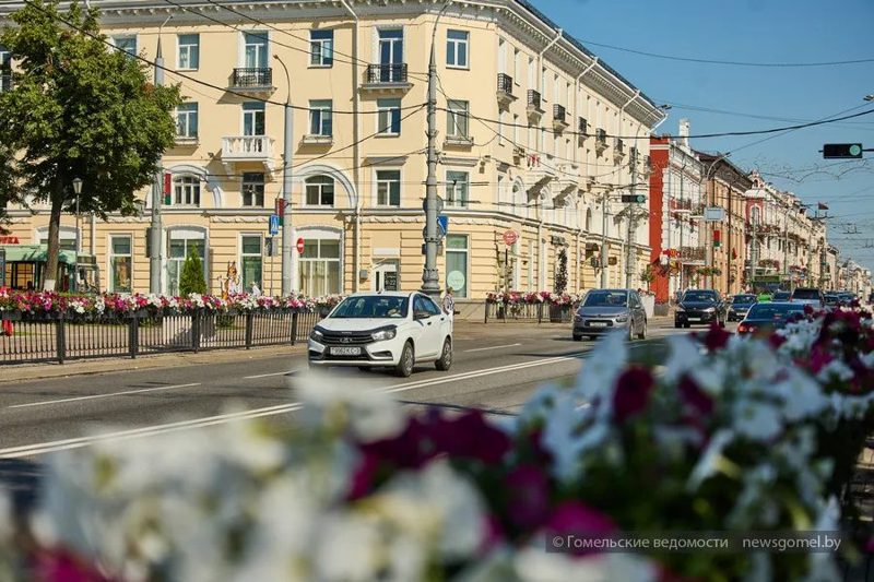 Гомельчанина осудили за управление автомобилем без прав