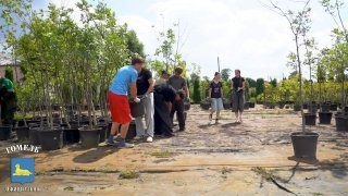Молодёжь Гомеля трудится на летних вакансиях в питомнике