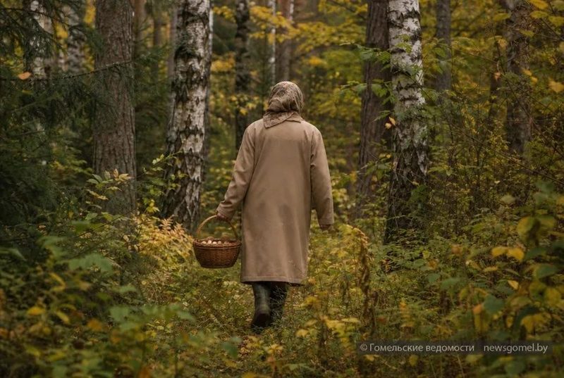 В Гомеле рассказали, как не заблудиться в лесу