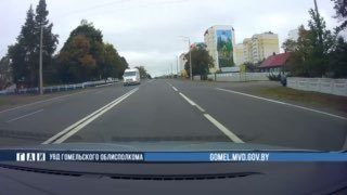 Калинковичи: водитель без прав пытался скрыться от ГАИ в лесу