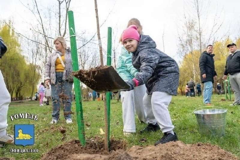 Гомельчане участвуют в областном субботнике — фото 3
