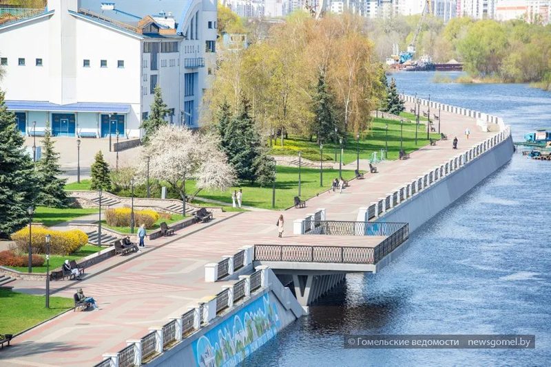 В Гомеле рассказали о нововведениях в уплате налога на профессиональный доход