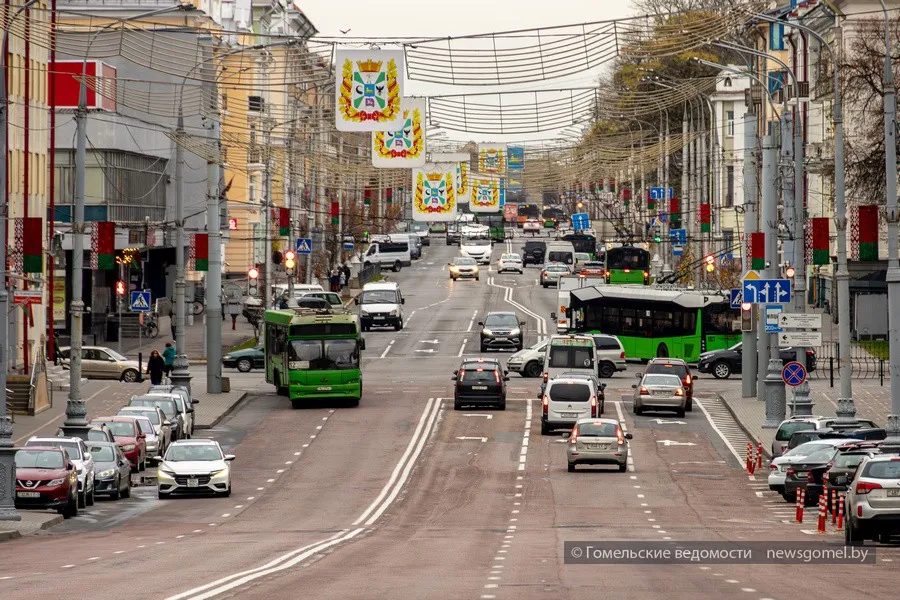 В Гомеле на шесть лет осудили водителя, по вине которого в ДТП пострадали двое пассажиров