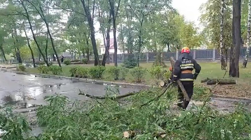 Спасатели ликвидировали последствия грозы в Гомельской области