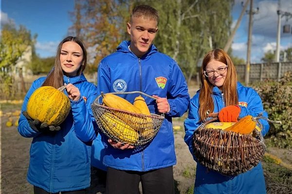Молодежь Гомельщины продолжает помогать пожилым людям