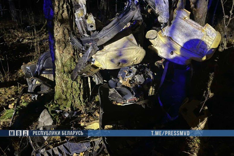 ДТП на Гомельщине: в Лельчицком районе погибли трое подростков