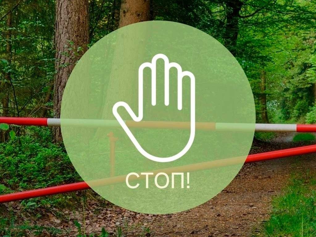 В Лельчицком районе ограничено посещение лесов