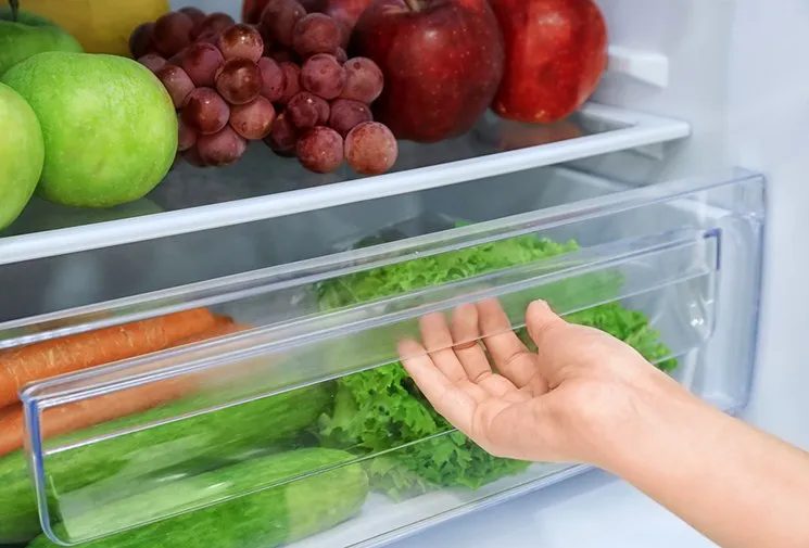В жару продукты портятся за часы: пять правил безопасного хранения
