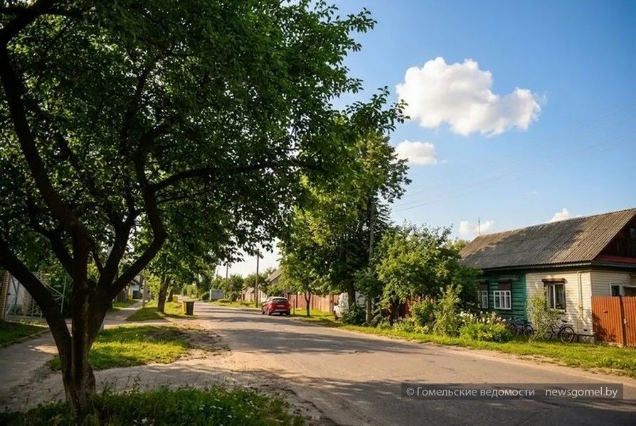 В Гомеле столетний клён на улице Циолковского получит омолаживающую обрезку