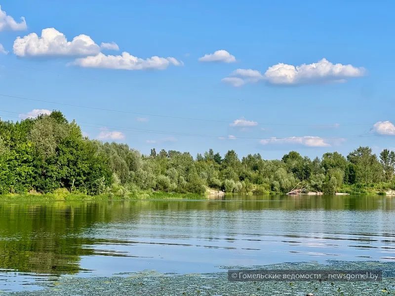 В Гомеле напомнили: вода требует постоянного контроля взрослых