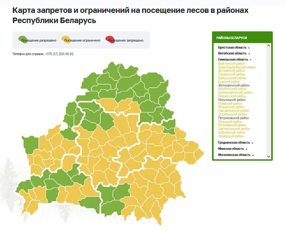 В большинстве районов Гомельской области ограничено посещение лесов